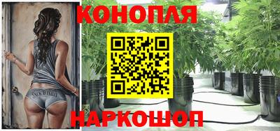 шишки Малоярославец