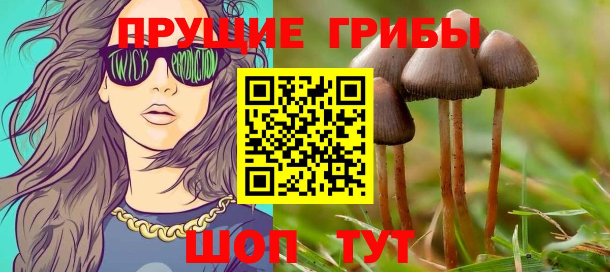 Фрязино  Псилоцибиновые грибы мухоморы  Вход с VPN 